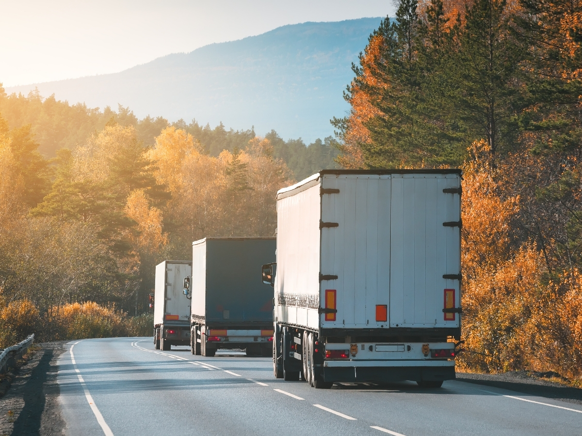 cross boarder freight2 cross boarder freight image